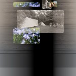 beeld intro